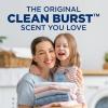 image:imageARM amp HAMMER Liquid Laundry Detergent Clean Burst Fresh 174 fl oz 174 Loads