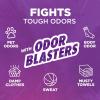 image:imageARM amp HAMMER Plus OxiClean with Odor Blasters Liquid Laundry Detergent Laundry Odor Remover Attacks Stains Fresh Burst Scent 74 Loads 962 Fl OzFresh Botanical