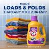 image:imageARM amp HAMMER Plus OxiClean with Odor Blasters Liquid Laundry Detergent Laundry Odor Remover Attacks Stains Fresh Burst Scent 74 Loads 962 Fl OzFresh Botanical