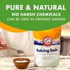 image:imageARM amp HAMMER Baking Soda MultiPurpose 100 Pure Sodium Bicarbonate Powder for Cooking Baking Cleaning Laundry Deodorizing DIY amp More 7 Lbs432 Ounce Pack of 1