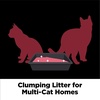 image:imageARM amp Hammer Clump amp Seal Platinum Cat Litter MultiCat Clumping Litter Forms RockHard Clumps Powerful Odor Eliminators with Baking Soda 14Day Odor Control 18 lbs Pack of 218 lbs Pack of 2