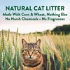 image:imageARM amp Hammer Plant Power PlantBased Clumping Cat Litter Unscented 15 Lbs  Lightweight MultiCat Homes Highly Absorbent Natural Grain Formula 14Day Odor Control